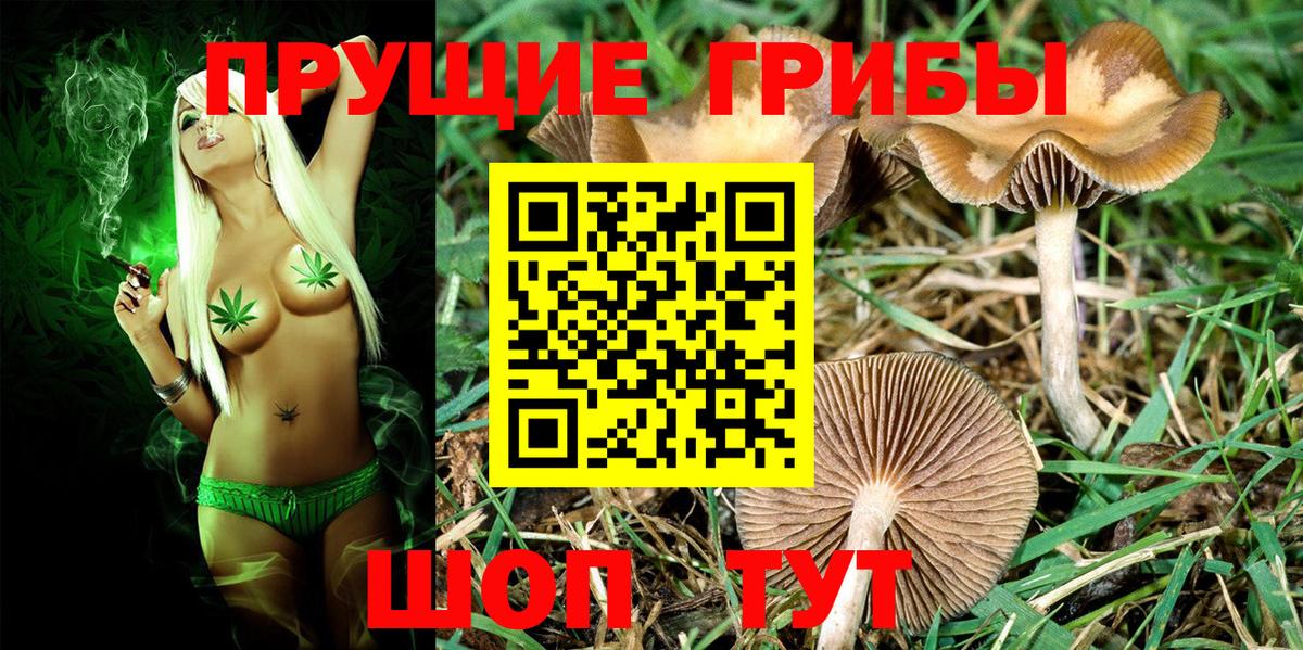 Псилоцибиновые грибы ЛСД Кашира
