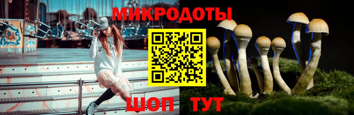 Кашира  Галлюциногенные грибы мицелий  Вход с VPN 